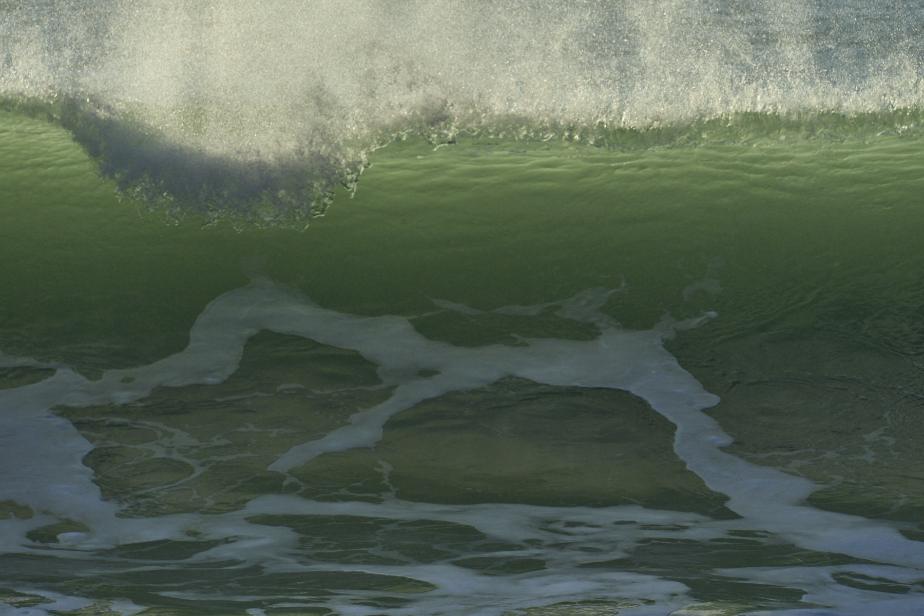 Bretagne 24 01 11 362