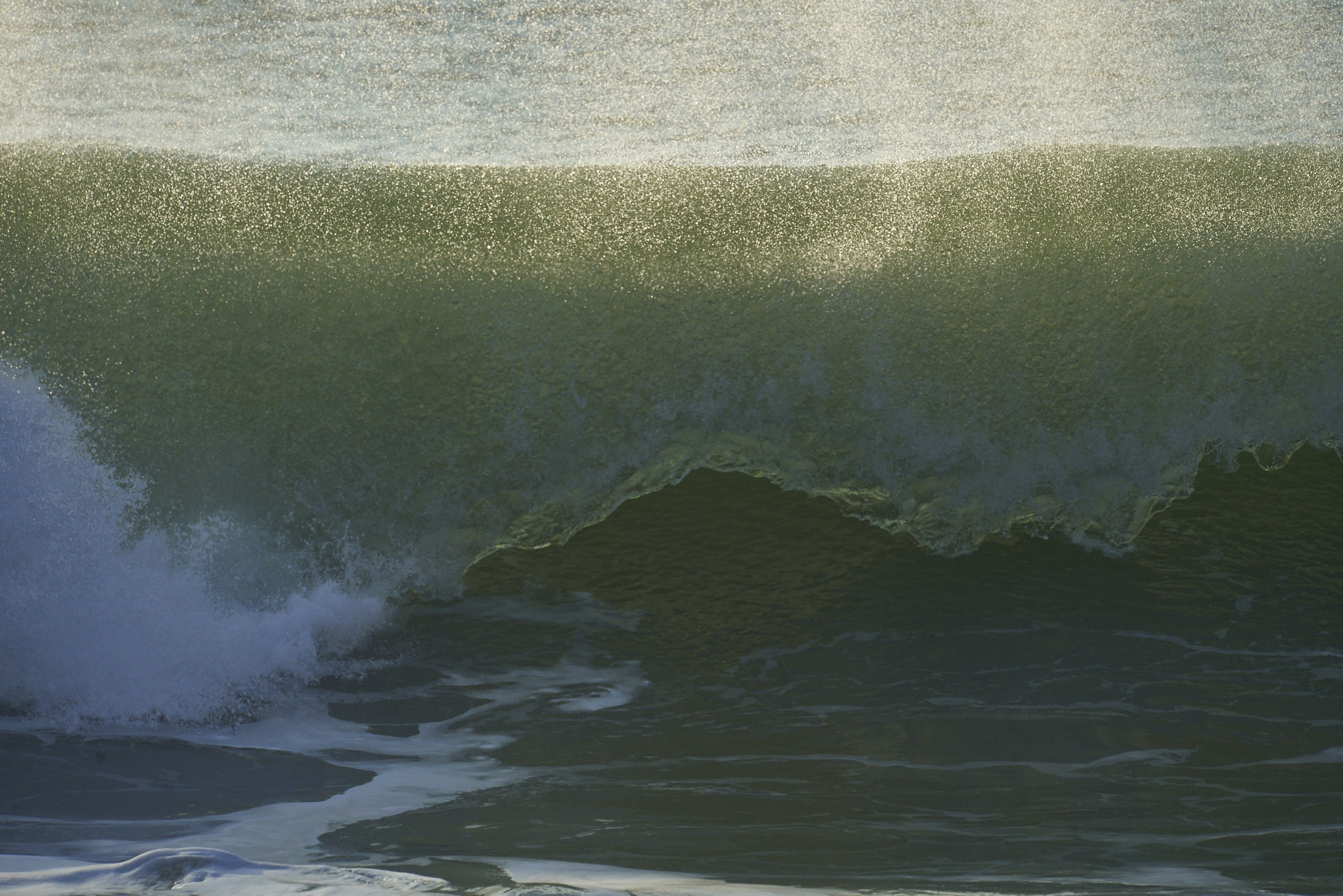 Bretagne 24 01 11 364