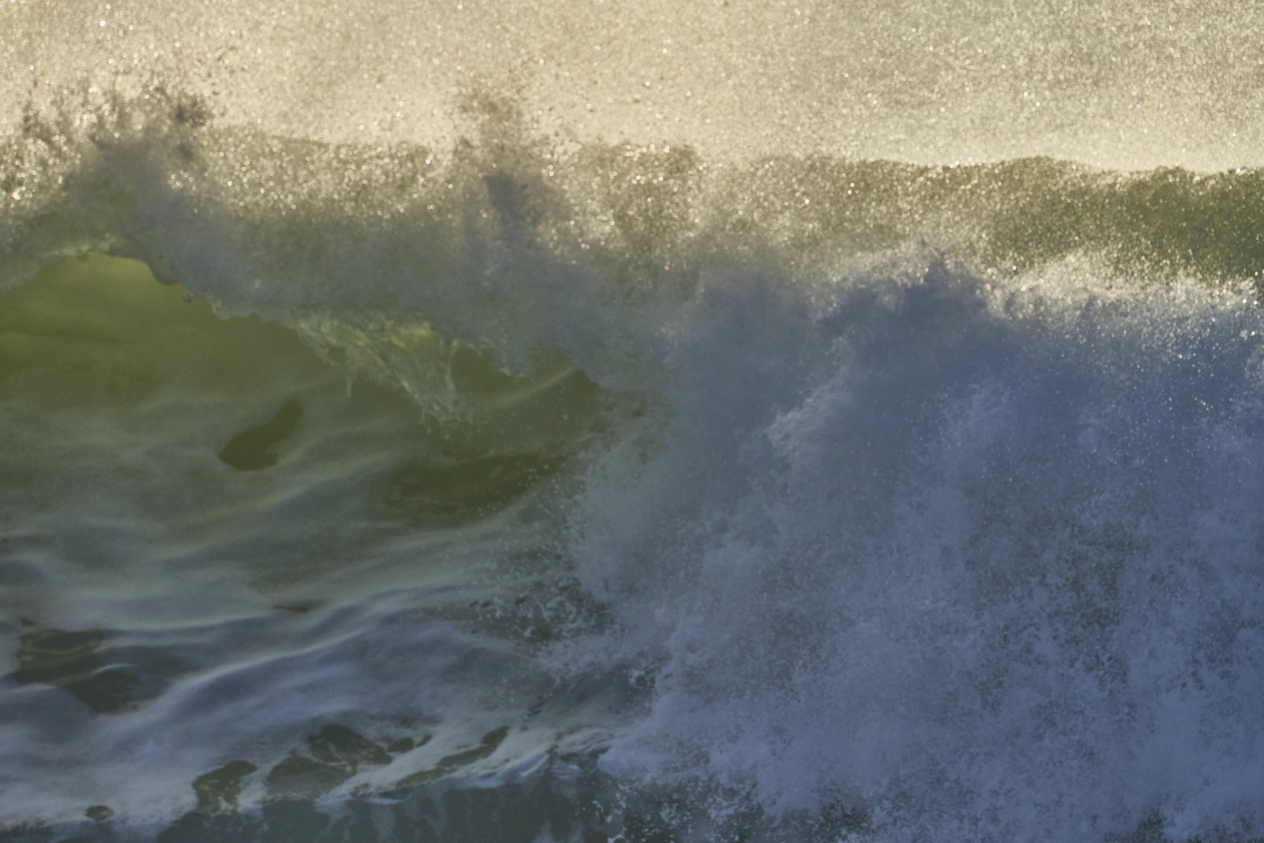 Bretagne 24 01 11 365